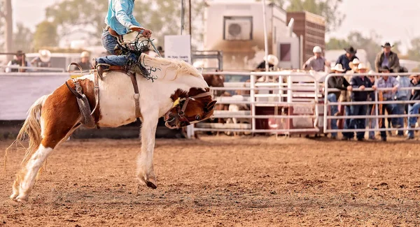 Wild Controtendenza Cavallo Bronco Cerca Sfoderare Cowboy Pilota Evento Paese — Foto Stock