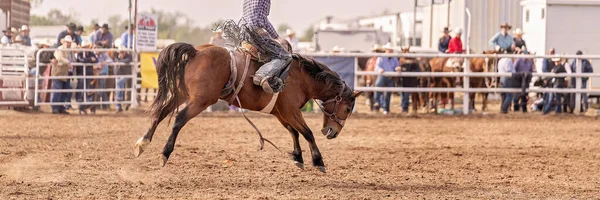 Wild Bucking Bronco Horse Tries Unseat Cowboy Rider Event Australian — Stock Photo, Image