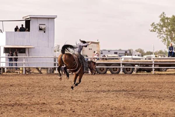 Wild Bucking Bronco Horse Próbuje Odsunąć Kowboja Jeźdźca Przypadku Australijskim — Zdjęcie stockowe