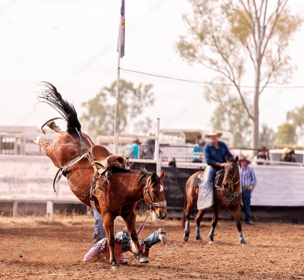 Wild bronco horse bucks off cowboy rider in an event in an Australian country rodeo