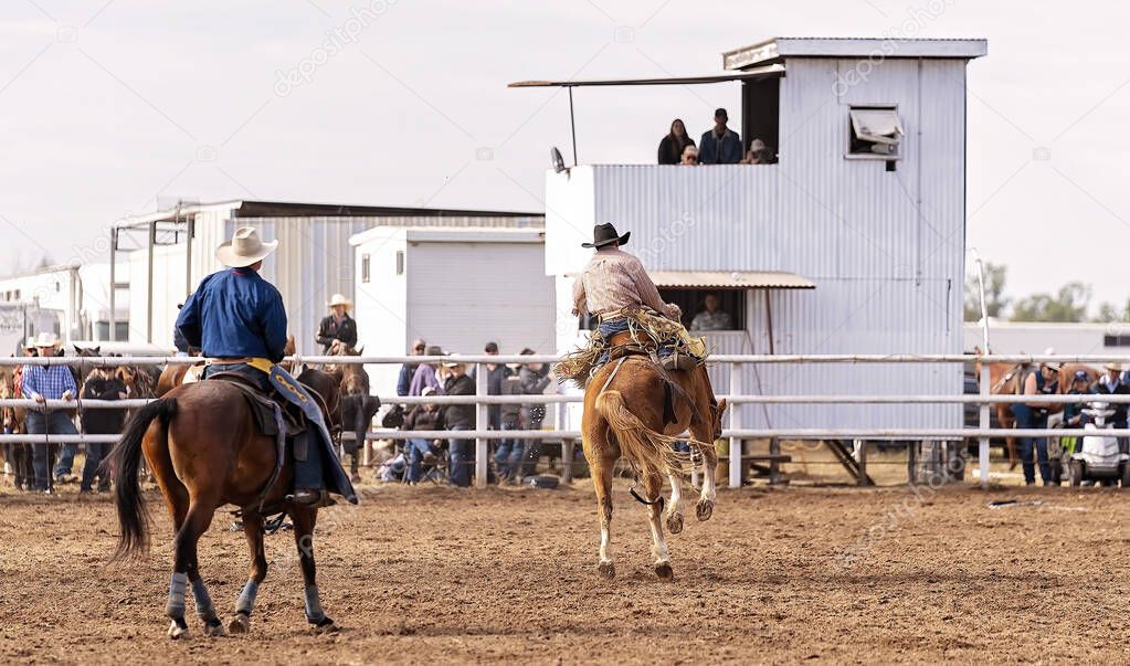 Wild bucking bronco horse tries to unseat cowboy rider in an event at an Australian country rodeo.