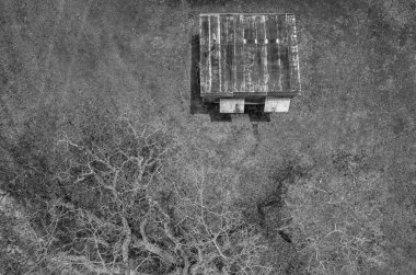 Çıplak ağaçların arasındaki paslanmış eski bir barakanın yukarıdan görünüşü - insansız hava aracı hava manzarası