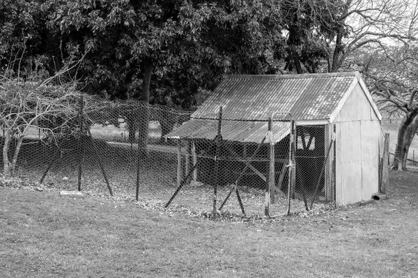 An old dilapidated rusting chicken house fenced with netted wire to form a pen enclosure