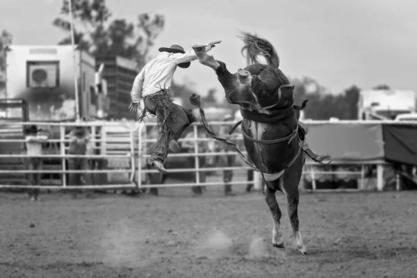 Kovboy Avustralya Rodeosunda Vahşi Bir Attan Düştü — Stok fotoğraf