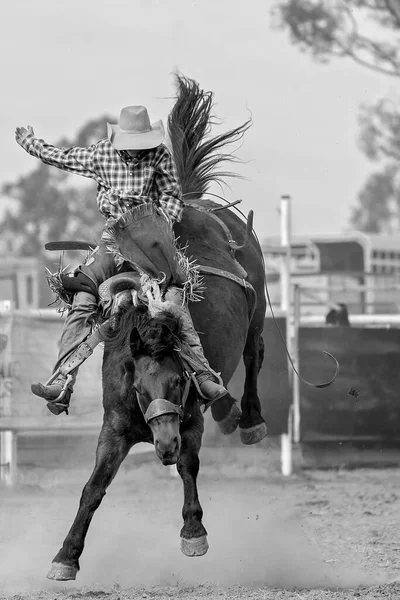 Kovboj Vzpínajícím Bronku Venkovském Rodeu Austrálie — Stock fotografie