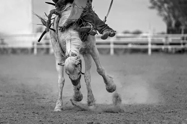 Cowboy Lovaglás Egy Bucking Bronc Egy Ország Rodeó Ausztrália — Stock Fotó