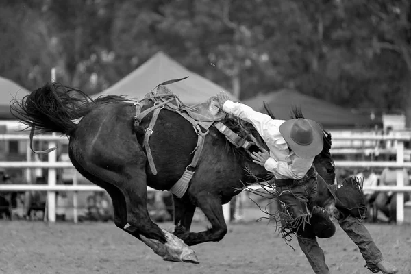 Cowboy Leesik Egy Bucking Bronc Country Rodeó Ausztrália — Stock Fotó