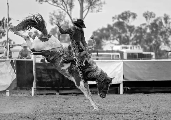 Kovboj Vzpínajícím Bronku Venkovském Rodeu Austrálie — Stock fotografie