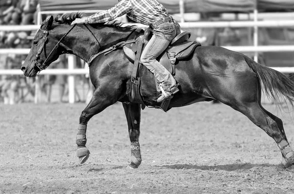 Rider Ανταγωνίζονται Βαρέλι Αγώνα Για Άλογο Στο Ροντέο Χώρα Αυστραλία — Φωτογραφία Αρχείου