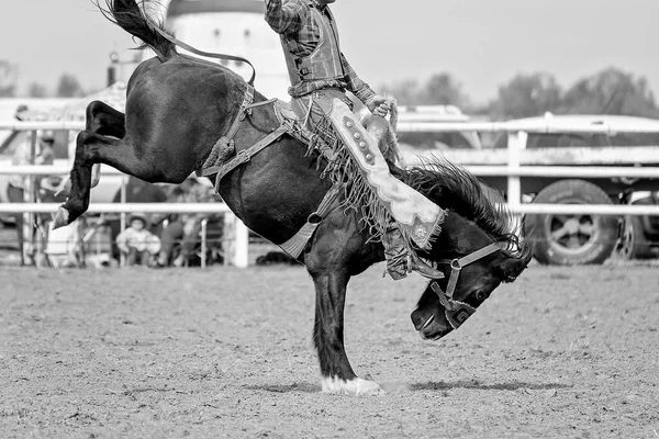 Cowboy Reitet Auf Einer Ruckelnden Bronzefigur Bei Einem Country Rodeo — Stockfoto