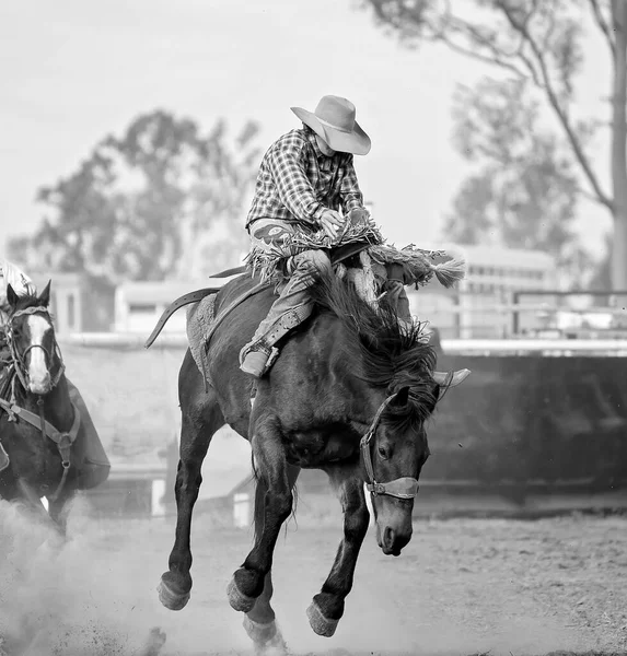 Καουμπόι Ιππεύει Ένα Άγριο Άλογο Ένα Ροντέο Στην Αυστραλία — Φωτογραφία Αρχείου