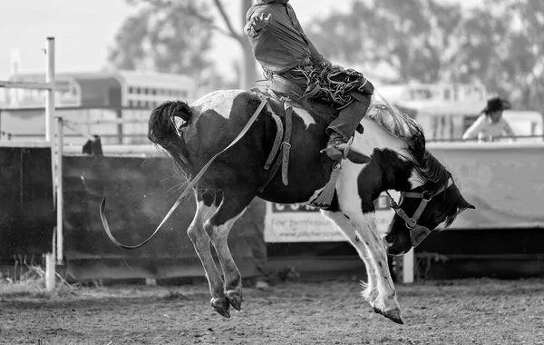 Cowboy Reitet Auf Einer Ruckelnden Bronzefigur Bei Einem Country Rodeo — Stockfoto