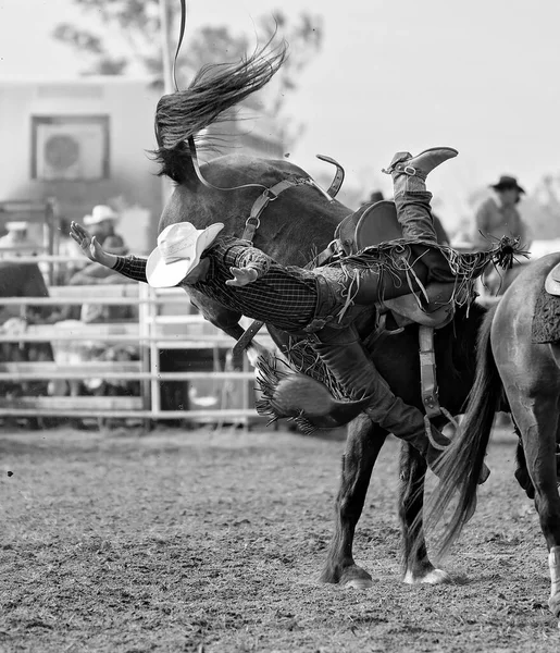 Cowboy Leesik Egy Kanos Bronco Egy Ausztrál Ország Rodeó — Stock Fotó