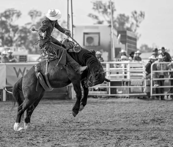Cowboy Reitet Auf Einer Ruckelnden Bronzefigur Bei Einem Country Rodeo — Stockfoto