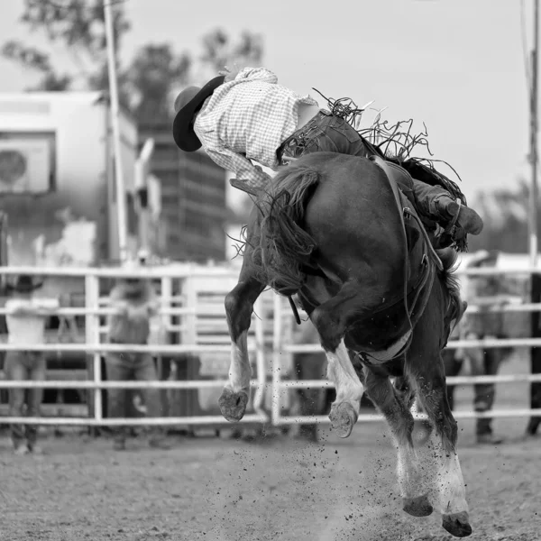 Wild Bronco Heeft Zijn Cowboy Ruiter Afgezet Een Australische Country — Stockfoto