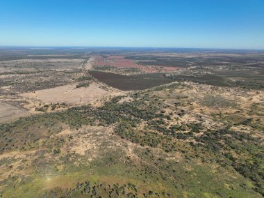 Clermont Avustralya yolunda Wolfgang Tepesi yakınlarında büyüyen karanlık bir sorghum tarlası. Mavi gökyüzü olan açık bir günde insansız hava aracı. Kırsal alanın geniş görünümü.