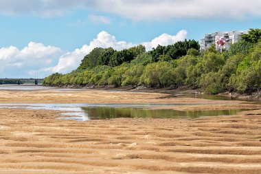 Alçak gelgitte bir şehrin içinden akan bir nehir ve kumsallar görünüyor. Mangrove ağaçları ve kuşlar yüksek binaların altında sol kıyıdalar. Köprü arka planda, arabalar geçiyor..