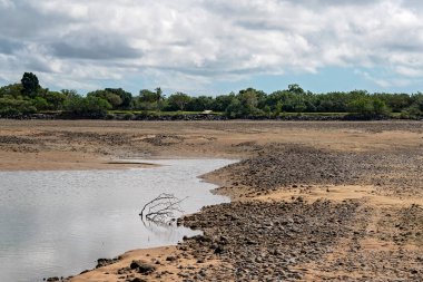 Taşlı bir nehir yatağının uzak tarafında alçak gelgitte bir çakıl yığını oluştu..