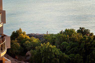 Binanın yan tarafında ve öndeki ağaçlar okyanus boyunca batan güneşin sıcacık parıltısını yakalıyorlar..