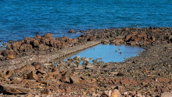 Small Rock Pool Ocean Some Rocks Covered Oyster Shells — Stockfoto