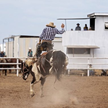 Avustralya 'da bir rodeoda vahşi bir ata binen kovboy.