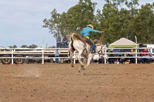 Cowboy Rider Bucking Bronc Ett Land Rodeo Australien — Stockfoto