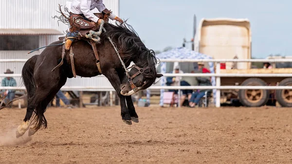 牛仔骑着颠簸的野马在澳大利亚的一个国家竞技 — 图库照片