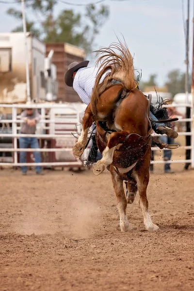 Cowboy Lovaglás Egy Bucking Bronc Egy Ország Rodeó Ausztrália — Stock Fotó