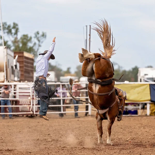 在澳大利亚的一个乡村牛仔竞技比赛中 一匹狂野的野马把牛仔骑手赶走了 — 图库照片