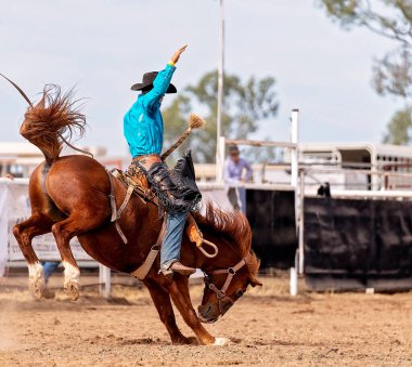 Avustralya 'da bir rodeoda vahşi bir ata binen kovboy.