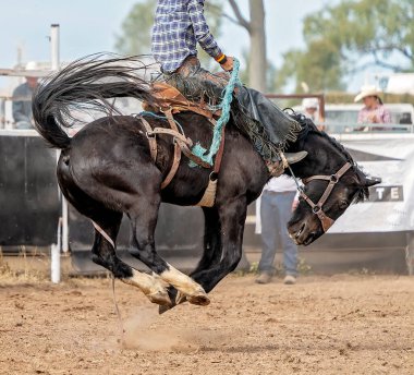 Avustralya 'da bir rodeoda vahşi bir ata binen kovboy.