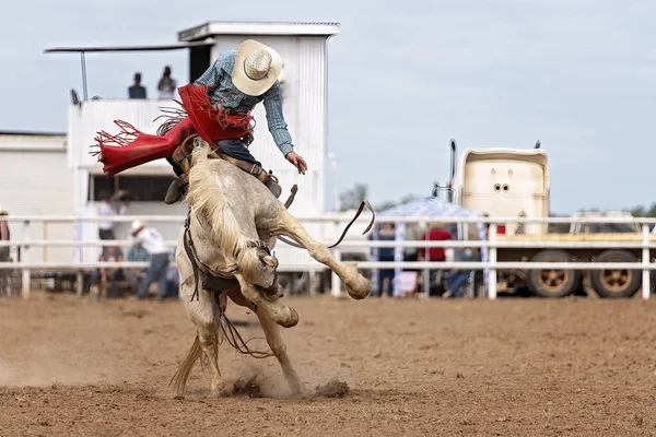 Cowboy Chevauchant Une Bronche Tronçonneuse Rodéo Pays Australie — Photo
