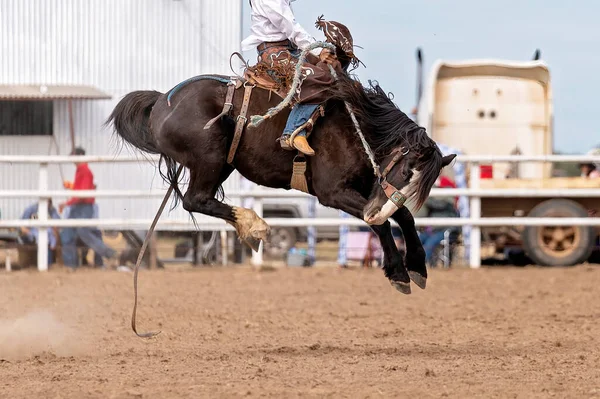 Cowboy Rider Bucking Bronc Ett Land Rodeo Australien — Stockfoto