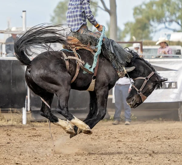 Cowboy Rijden Een Bucking Bronc Een Land Rodeo Australië — Stockfoto