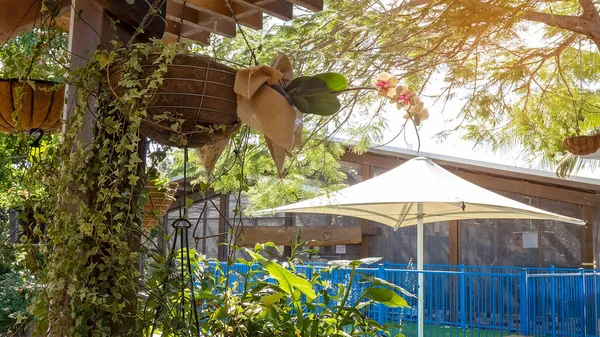Hanging pot plants and vines around a post beside an outdoor umbrella and building.