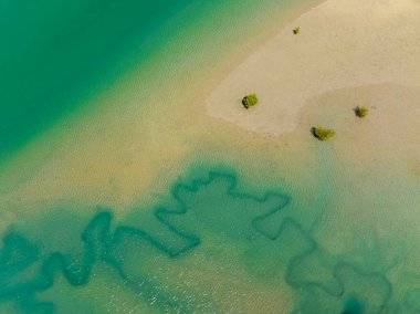 İnsansız hava aracı okyanusun aşağısına yeşil su ve altın kumla bakıyor. Grasstree Sahili Queensland Avustralya.