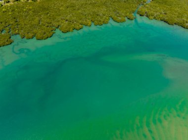 Gelgitin alçak suları güzel yeşil tonları ve altın kumları gösteriyor. Tropik Queensland Avustralya.