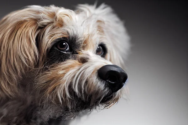 Retrato Ilustrativo Brinquedo Manchester Terrier Cão Rosto Closeup Gráfico Cinema — Fotografia de Stock