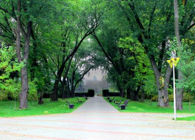 güzel sonbahar sokak