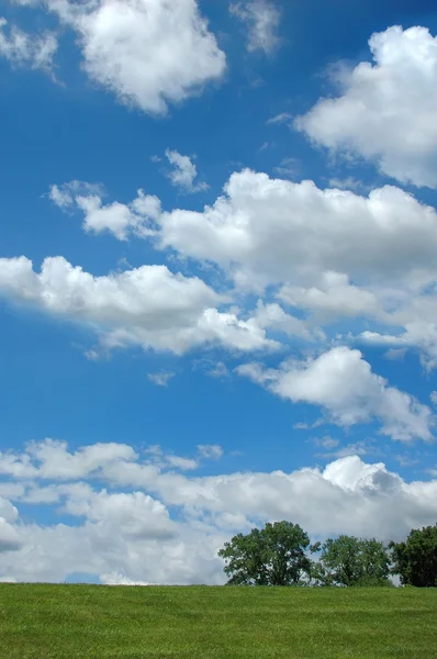 Landscape with clouds and trees — Stock Photo, Image