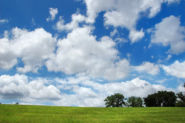 Landscape with clouds and trees — Stock Photo, Image
