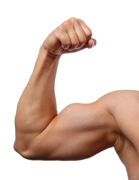 Strong arm male Pictures, Strong arm male Stock Photos & Images Deposit...