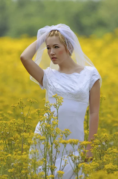 Sposa in un campo di fiori — Foto Stock