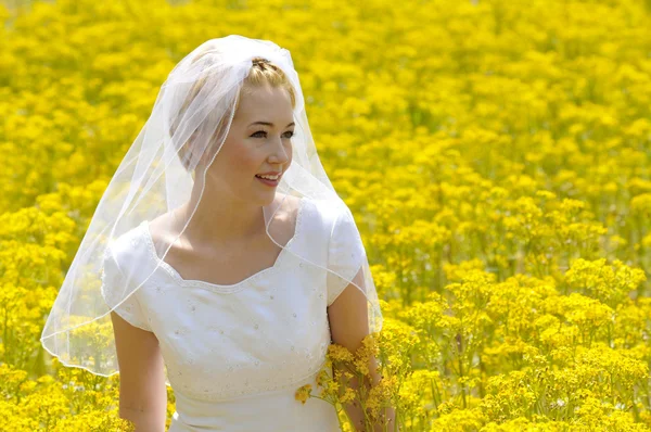 Bruid in een veld bloemen — Stockfoto