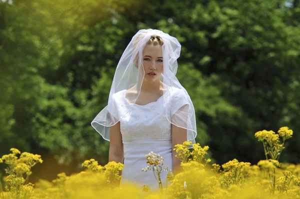 Sposa in un campo di fiori — Foto Stock