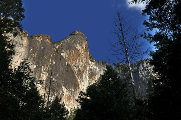 Parc national Yosemite — Photo