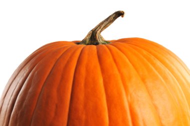 Beyaz bir arkaplanda kabak izole