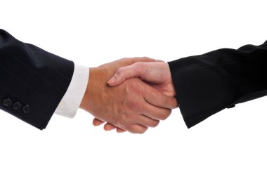Handshake between a businessman and a businesswoman