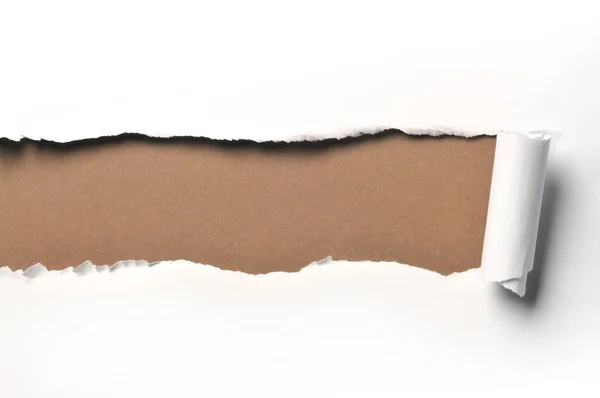 กระดาษ RIpped — ภาพถ่ายสต็อก