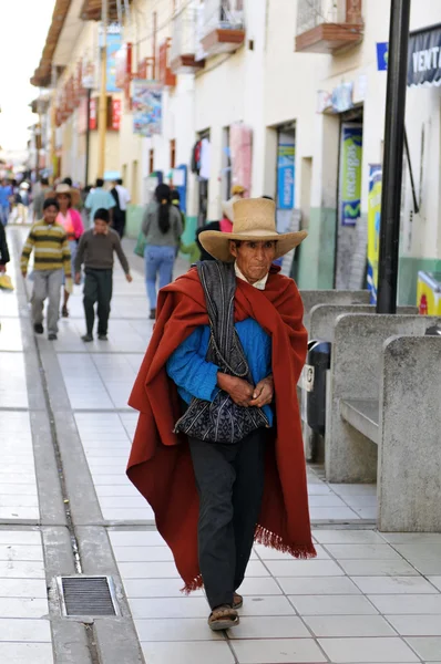 ペルーのアンデス北部から伝統的な男 — ストック写真